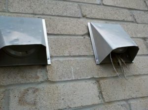 Birds in vents removal and Preventing birds from nesting in vents.